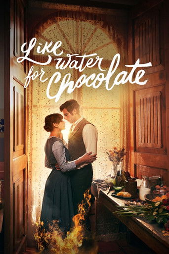 Like Water for Chocolate (2024) poster