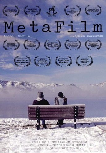 MetaFilm (2017) poster