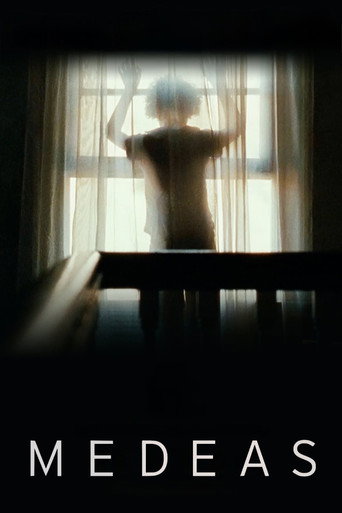 Medeas (2013) poster