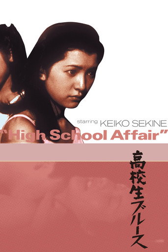 High School Affair (1970) poster