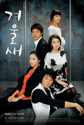 Winter Bird (2007) poster