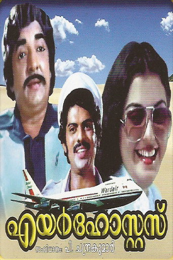 Air Hostess (1980) poster