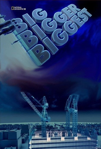 Big, Bigger, Biggest (2008) poster