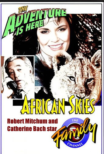 African Skies (1992) poster