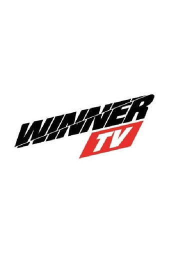 Winner TV (2013) poster