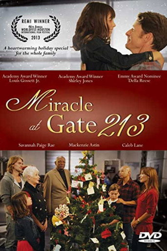 Miracle at Gate 213 (2013) poster
