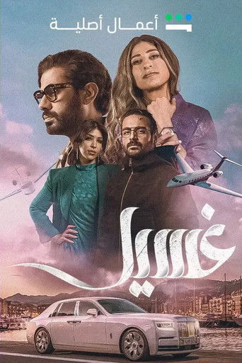 Laundry (2023) poster