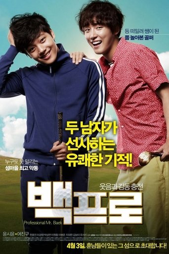 Mr. Perfect (2014) poster