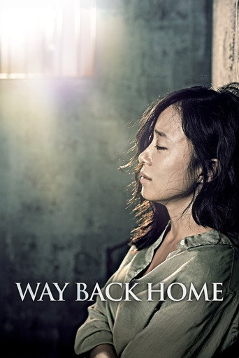 Way Back Home (2013) poster