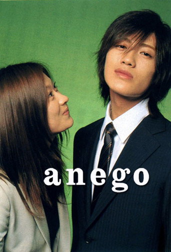Older Sister (2005) poster
