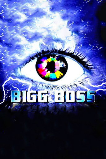 Bigg Boss (2013) poster