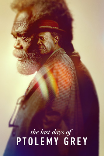 The Last Days of Ptolemy Grey (2022) poster