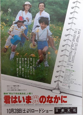 Fighting Against The Incurable Disease Aplastic Anemia – Now You Are In The Light (1978) poster