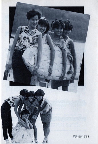 Story of a Summer Experience (1985) poster