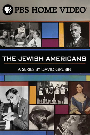 The Jewish Americans (2008) poster