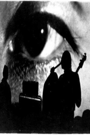The Velvet Underground: Psychiatrist's Convention, NYC, 1966 (1966) poster