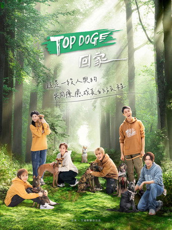 TOP DOG (2023) poster