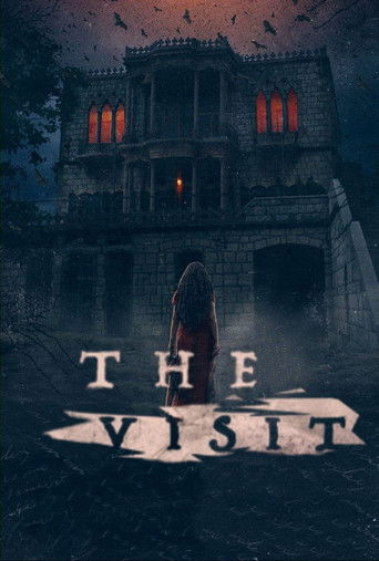 THE VISIT (2021) poster