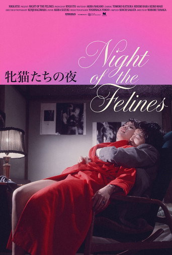 Night of the Felines (1972) poster