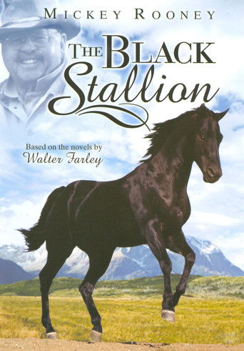 The Adventures of the Black Stallion (1992) poster