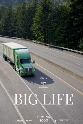 Big Life (2023) poster