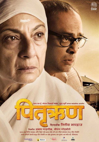 Pitruroon (2013) poster