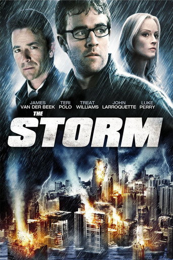 The Storm (2009) poster