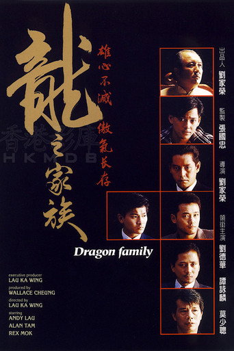 The Dragon Family (1988) poster