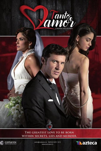 Tanto Amor (2015) poster