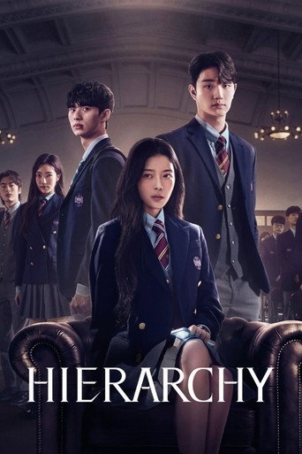 Hierarchy (2024) poster