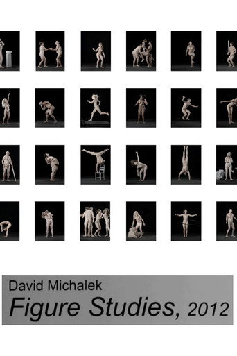 Figure Studies (2012) poster