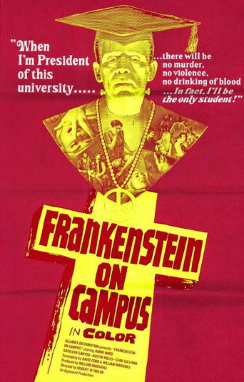 Flick (1970) poster