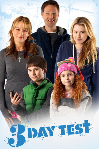 3 Day Test (2012) poster