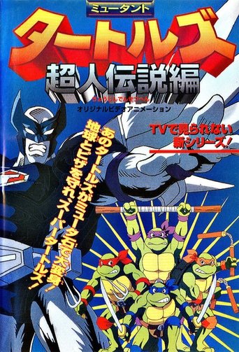 Mutant Turtles: Superman Legend (1996) poster
