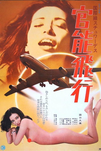 International Stewardess: Erotic Flight (1976) poster