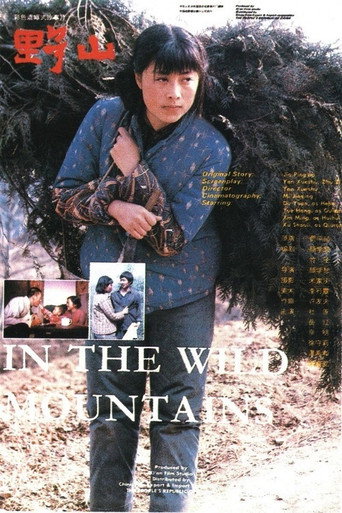 In the Wild Mountains (1986) poster