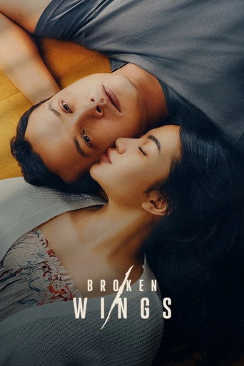 Broken Wings (2022) poster