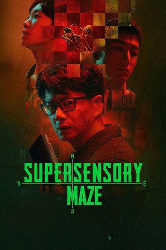 Supersensory Maze (2025) poster