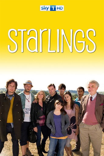 Starlings (2012) poster