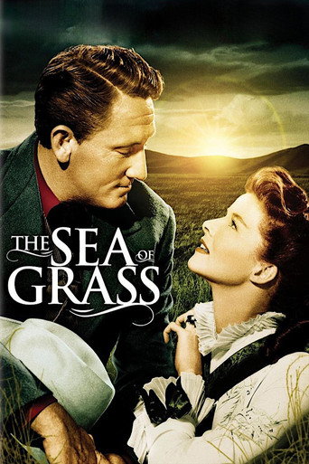 The Sea of Grass (1947) poster