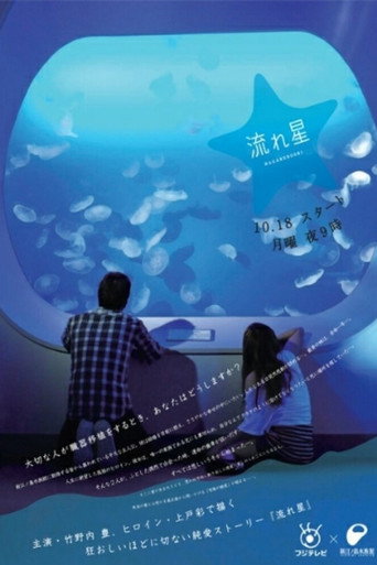 Shooting Star (2010) poster