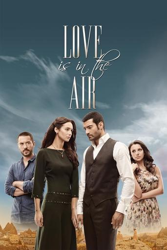 Love Is in the Air (2010) poster