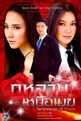 Temptation of the Roses (2009) poster