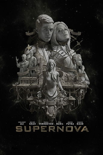 Supernova: The Knight, the Princess, & Shooting Star (2014) poster