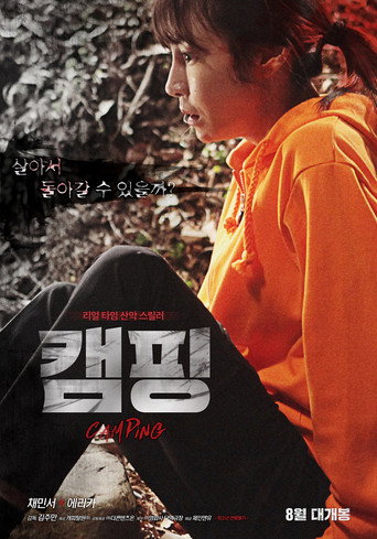 Camping (2016) poster