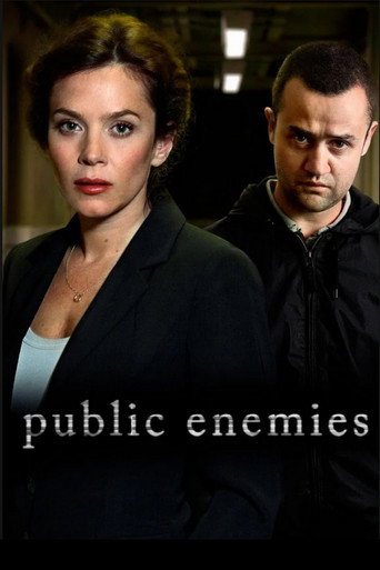 Public Enemies (2012) poster