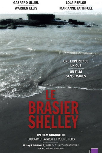 Shelley's Blaze (2018) poster