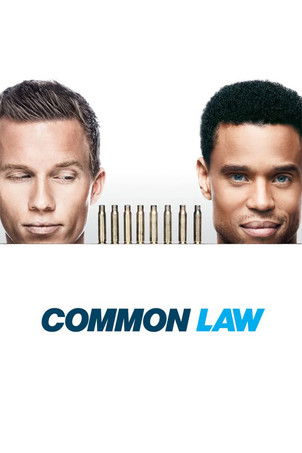 Common Law (2012) poster