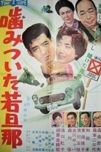 Biting Young Master (1960) poster