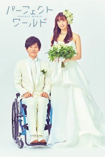 Perfect World (2019) poster